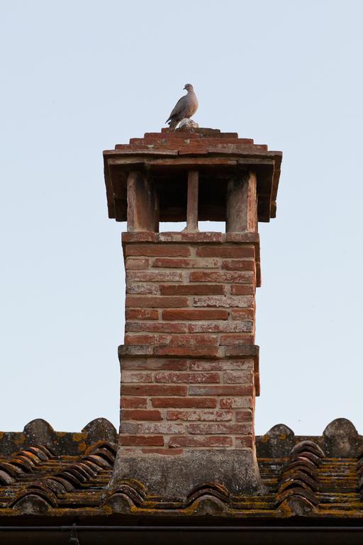 Agriturismo Cignan Rosso Villa Castellina in Chianti Kültér fotó